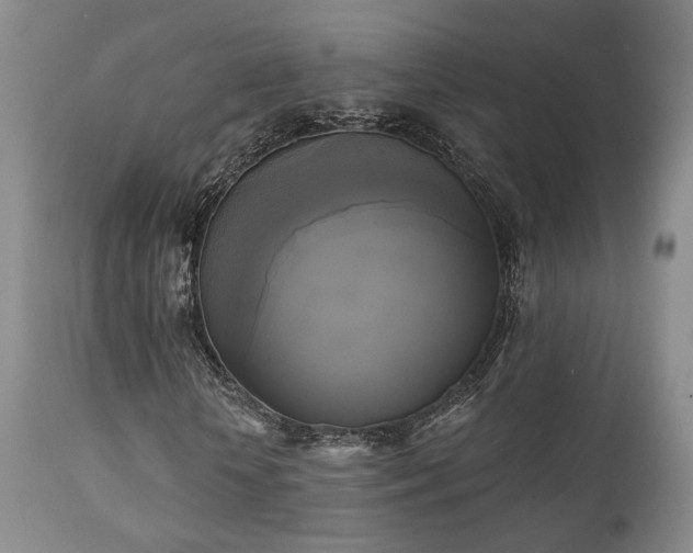 X0000111220818200907021332