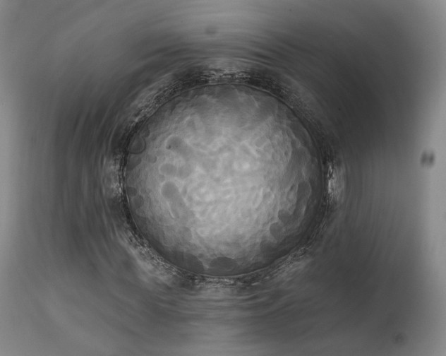 X0000111220819200907021332