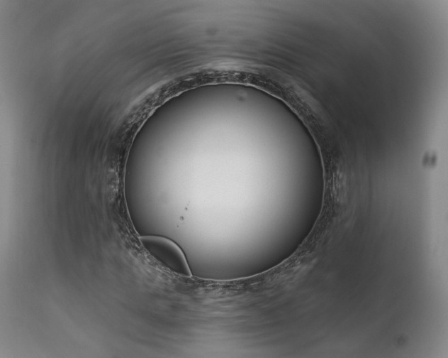 X0000111220821200907021332