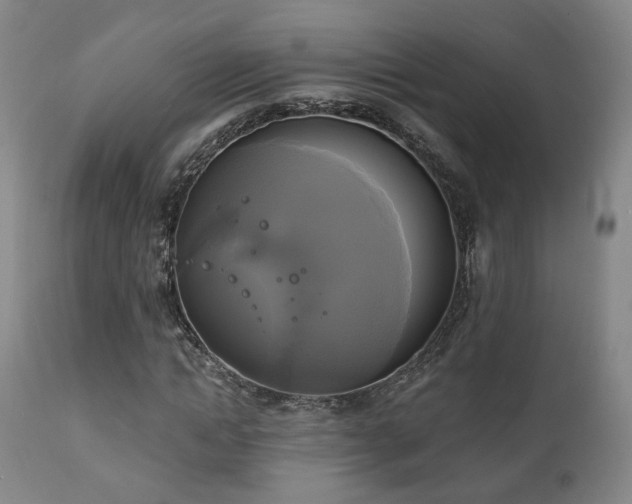 X0000111220822200907021332