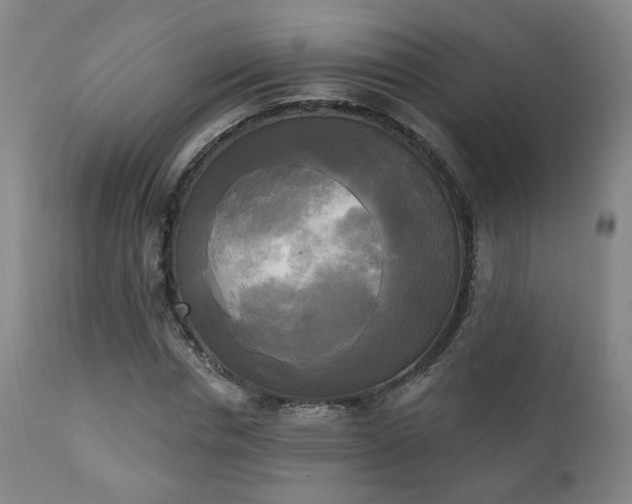 X0000111220826200907021332