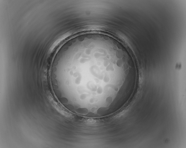 X0000111220827200907021332