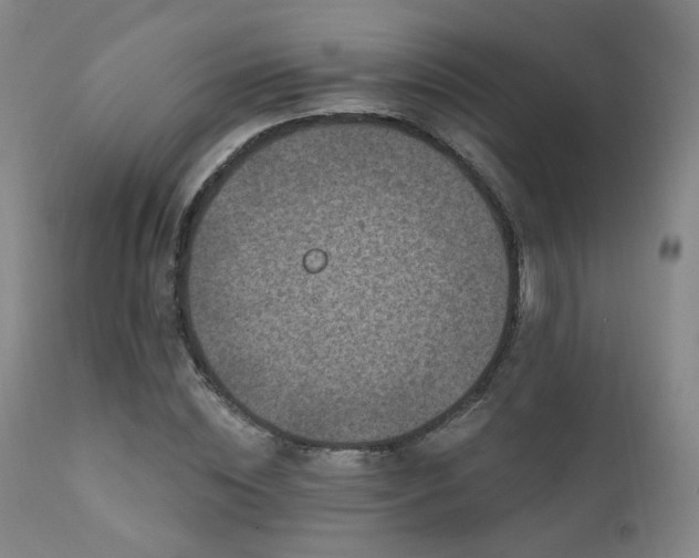 X0000111220828200907021332