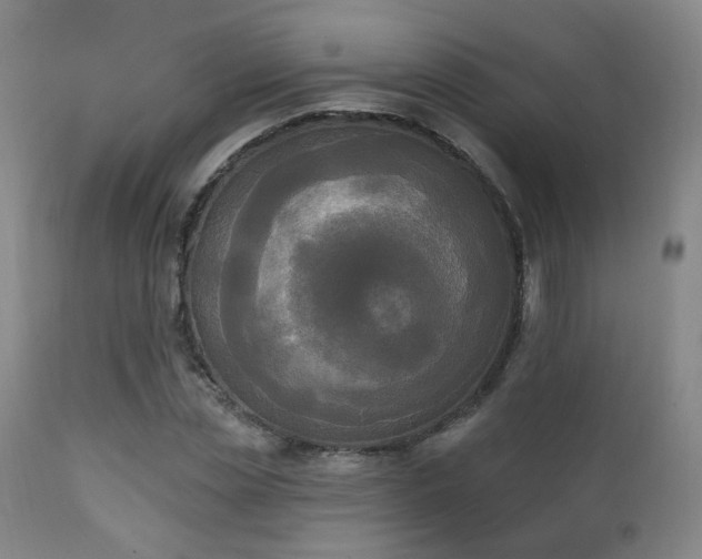 X0000111220829200907021332