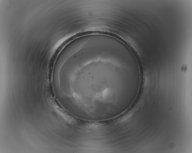 X0000111220830200907021332
