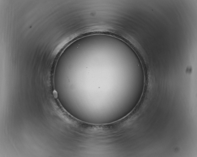X0000111220834200907021332
