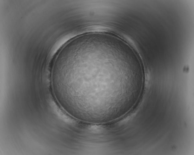 X0000111220835200907021332