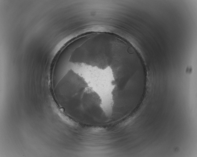 X0000111220837200907021332