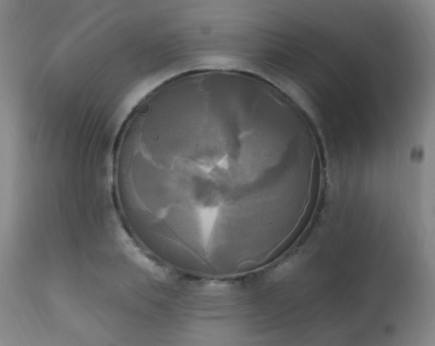 X0000111220839200907021332
