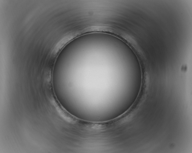 X0000111220841200907021333