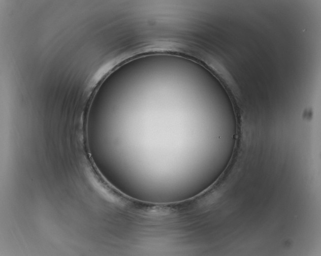 X0000111220842200907021333