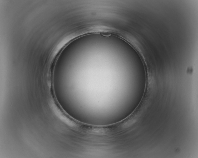 X0000111220843200907021333