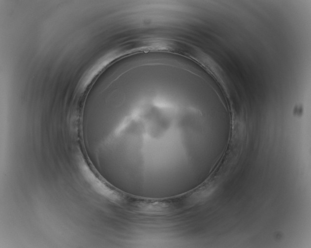X0000111220851200907021333