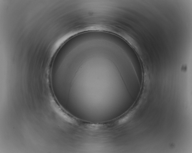 X0000111220854200907021333