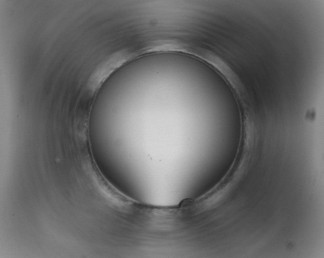 X0000111220857200907021333