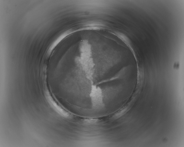 X0000111220859200907021333