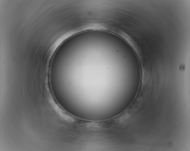 X0000111220861200907021333