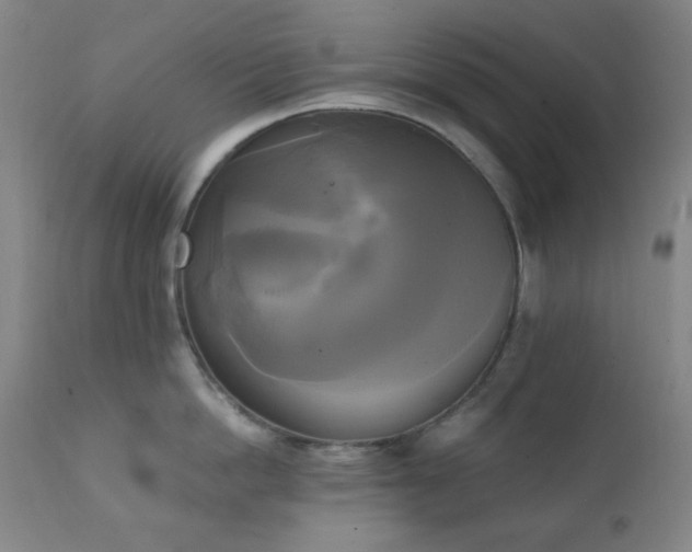 X0000111220862200907021333