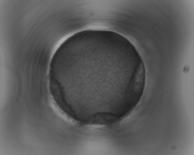 X0000111220864200907021333