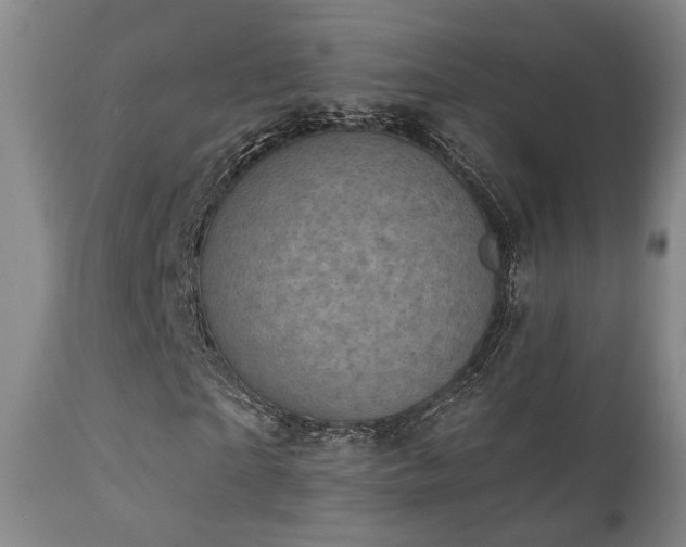X0000111220865200907021332