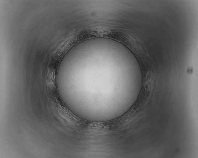 X0000111220866200907021332