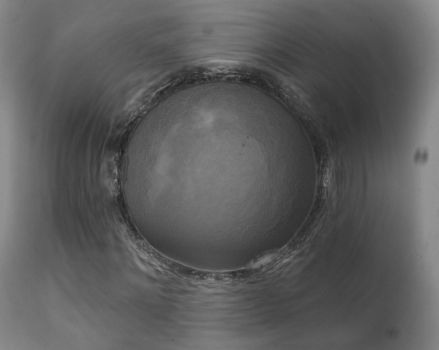 X0000111220868200907021332