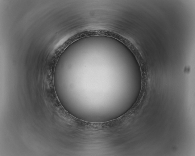X0000111220871200907021332