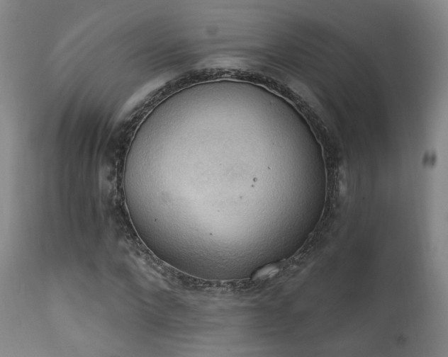 X0000111220872200907021332