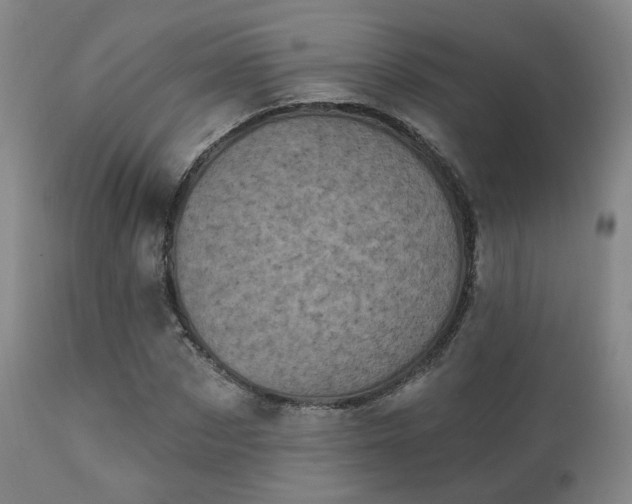 X0000111220873200907021332