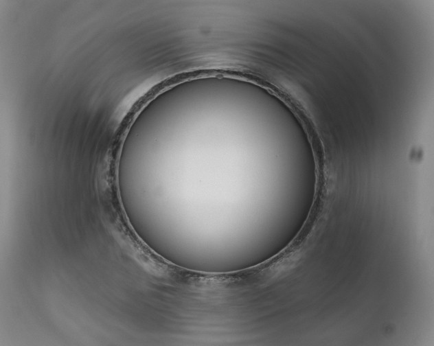X0000111220875200907021332