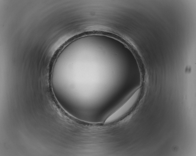 X0000111220877200907021332