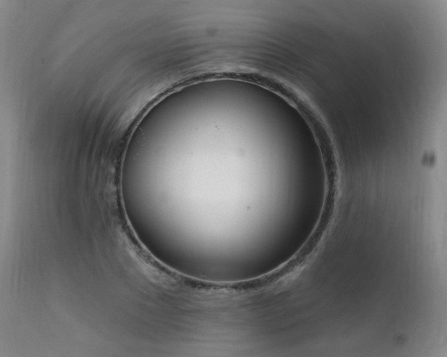 X0000111220881200907021332