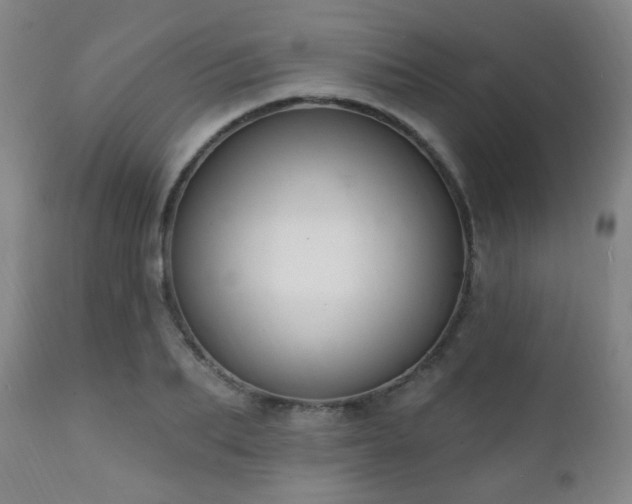 X0000111220887200907021332
