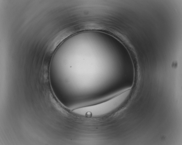 X0000111220889200907021332