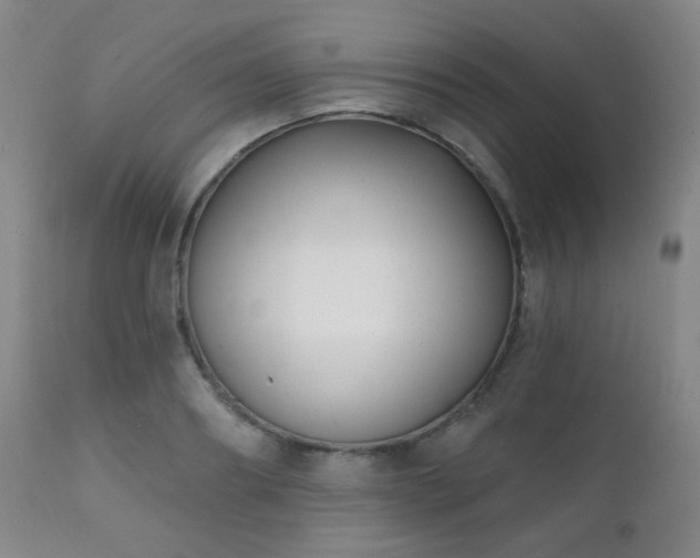 X0000111220890200907021332