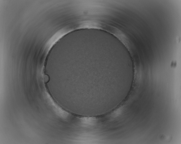 X0000111220893200907021332
