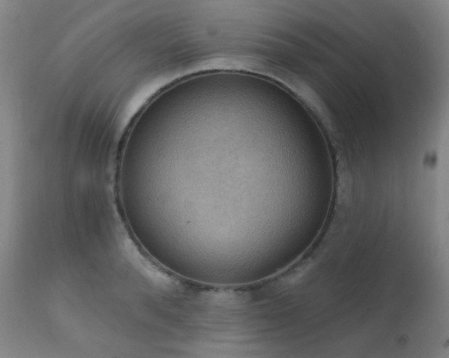 X0000111220896200907021332