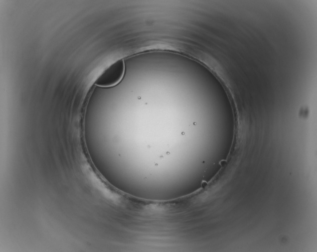 X0000111220898200907021332