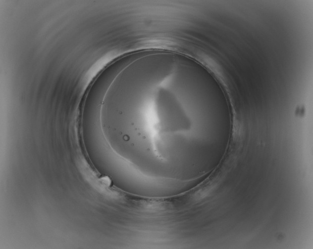 X0000111220899200907021332