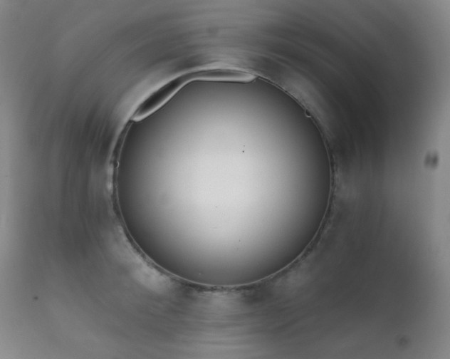 X0000111220900200907021332