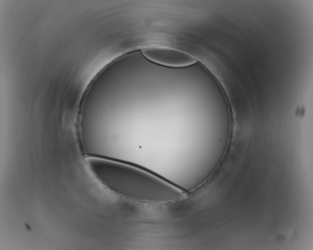 X0000111220901200907021332