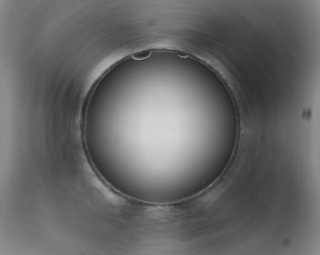 X0000111220902200907021332