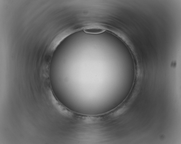 X0000111220905200907021332