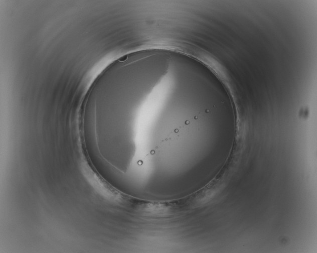 X0000111220907200907021332