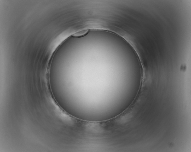 X0000111220909200907021332