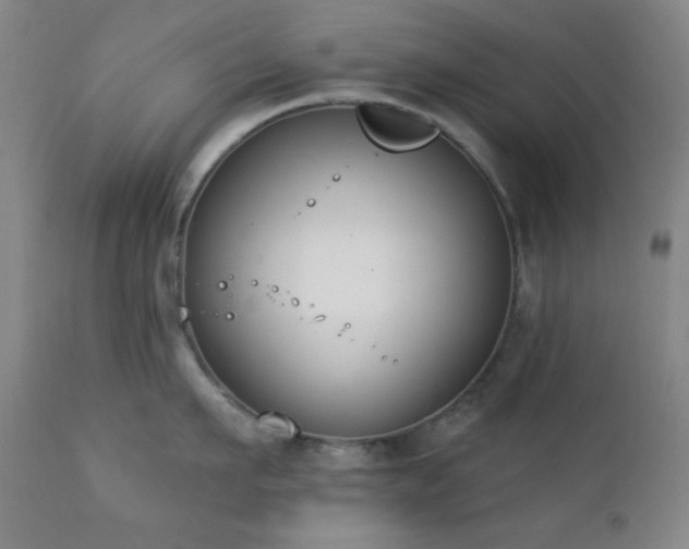 X0000111220911200907021332