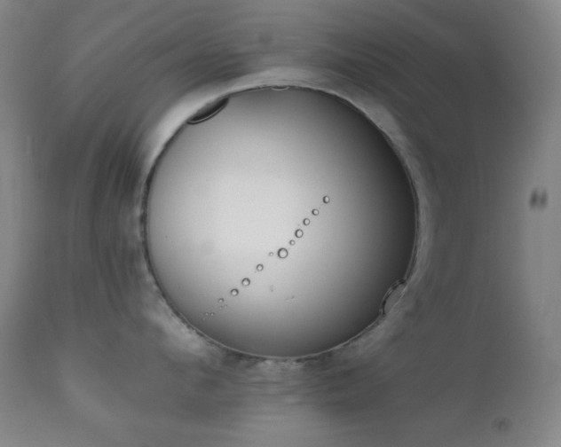 X0000111220912200907021332