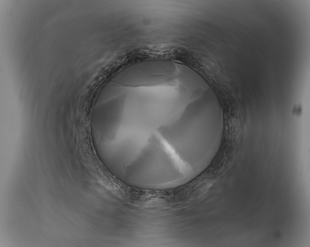 X0000111220913200907021331