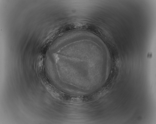 X0000111220914200907021331