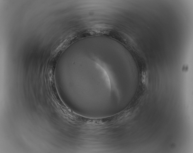 X0000111220915200907021331